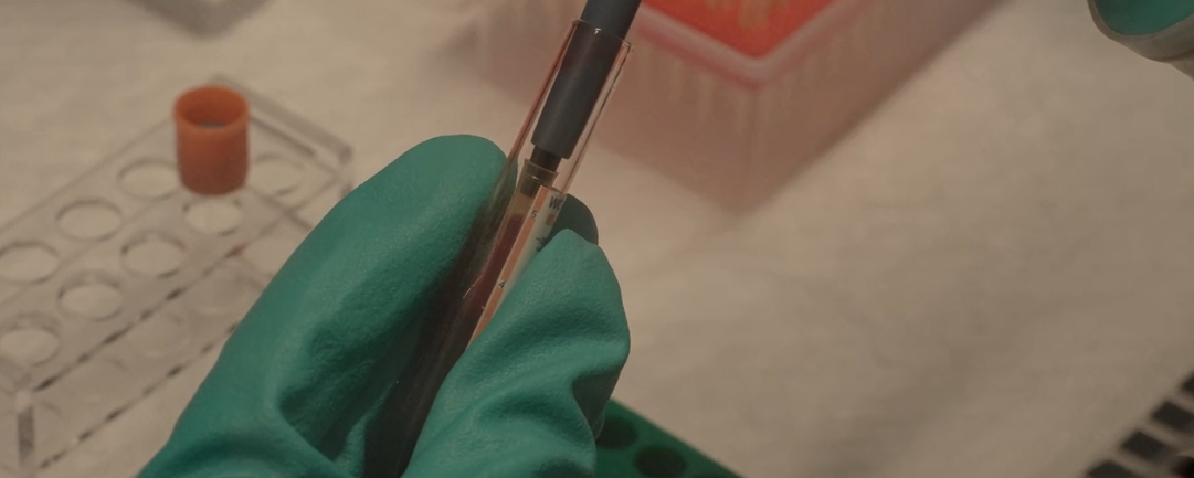 一起和喜瓶者所有的棋牌网站名称
看看什么是P4实验室